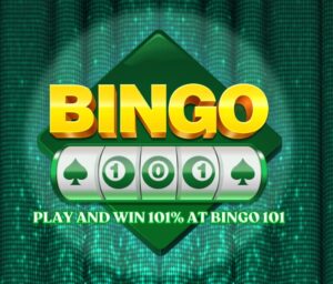 BINGO 101