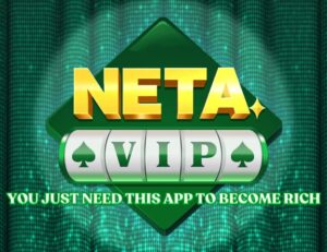 NETA VIP