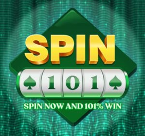 SPIN 101